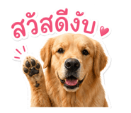 852985609