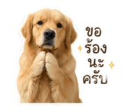 852985614