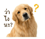 852985616