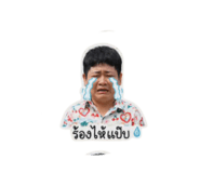 852993619