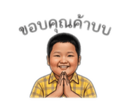 852995296