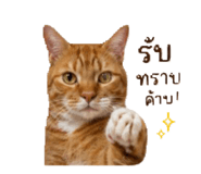 852999231