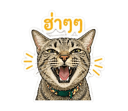 852999970