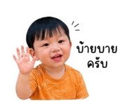 853000295