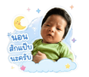 853006555
