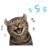 853006778