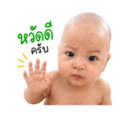 853008633