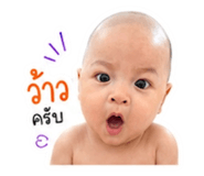853008636