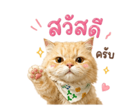 853009705