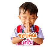 853012594