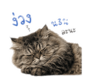 853013546