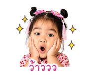 853013554