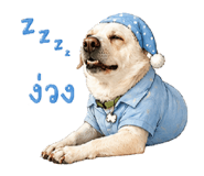 853016896