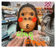 853024477