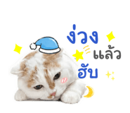 853024615