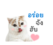 853024618