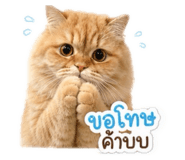 853033224