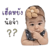 853033440