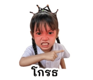853034034