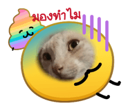 853034142