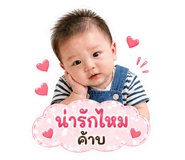 853036118
