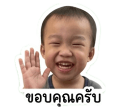 853037944