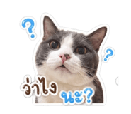 853039877