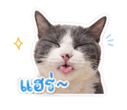 853039878