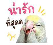 853040541