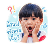 853040733