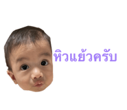853040877