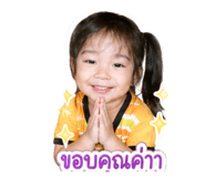 853041520