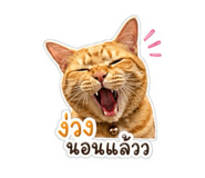 853043134