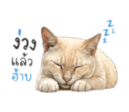853043573
