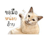 853043574