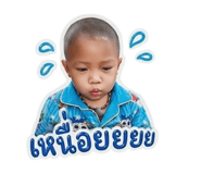 853045037