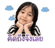 853050077