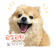 853050204