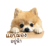 853050208