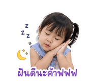 853055443