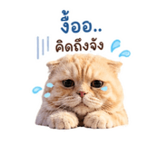 853059355