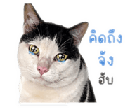 853059623
