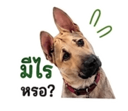 853059845