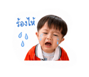 853061713
