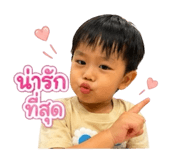853062650