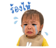 853062774