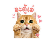 853065505