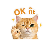 853065507
