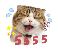 853066376