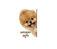 853067828
